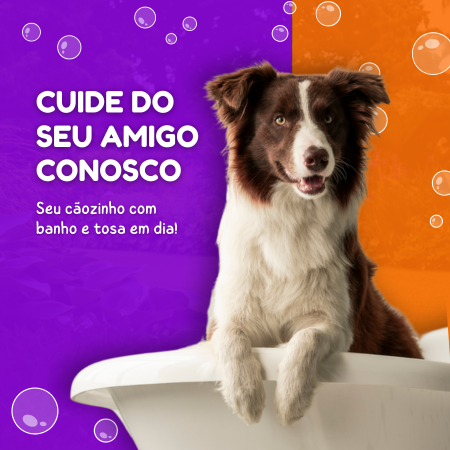 banho e tosa.png